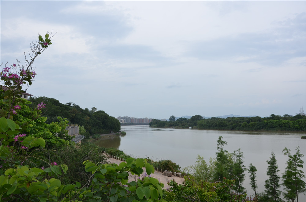 國(guó)務(wù)院：聚焦企業(yè)關(guān)切，進(jìn)一步推動(dòng)優(yōu)化營(yíng)商環(huán)境政策落實(shí)
